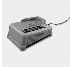 Szybka ładowarka Battery Power+ 36/60