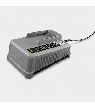 Szybka ładowarka Battery Power+ 36/60