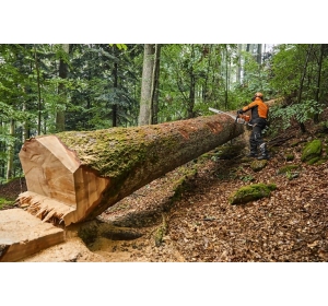 Stihl Rollomatic ES, 3/8, 1,6 mm, 90 cm do 881
