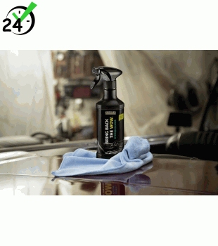RM 651 Środek do czyszczenia wnętrza Karcher 500 ml