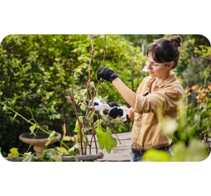 STIHL ASA 20 Sekator akumulatorowy, nożyce do gałęzi + akumulator + ładowarka