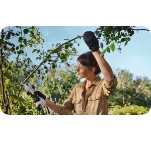 STIHL ASA 20 Sekator akumulatorowy, nożyce do gałęzi + akumulator + ładowarka