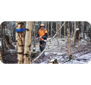 Podkrzesywarka HTA 150 Stihl na wysięgniku bez akumulatora i ładowarki