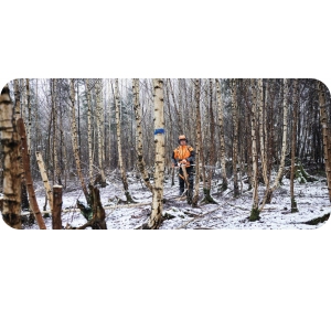 Podkrzesywarka HTA 150 Stihl na wysięgniku bez akumulatora i ładowarki