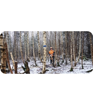 Podkrzesywarka HTA 150 Stihl na wysięgniku bez akumulatora i ładowarki