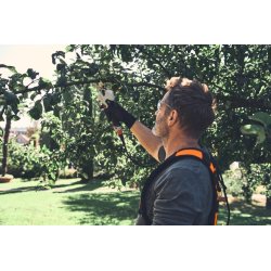 ASA 140 Sekator akumulatorowy, nożyce do cięcia gałęzi STIHL