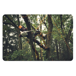 STIHL MSA 190 T (1200W, 36V, prowadnica 35cm) Pilarka akumulatorowa