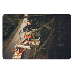 STIHL MSA 190 T (1200W, 36V, prowadnica 35cm) Pilarka akumulatorowa