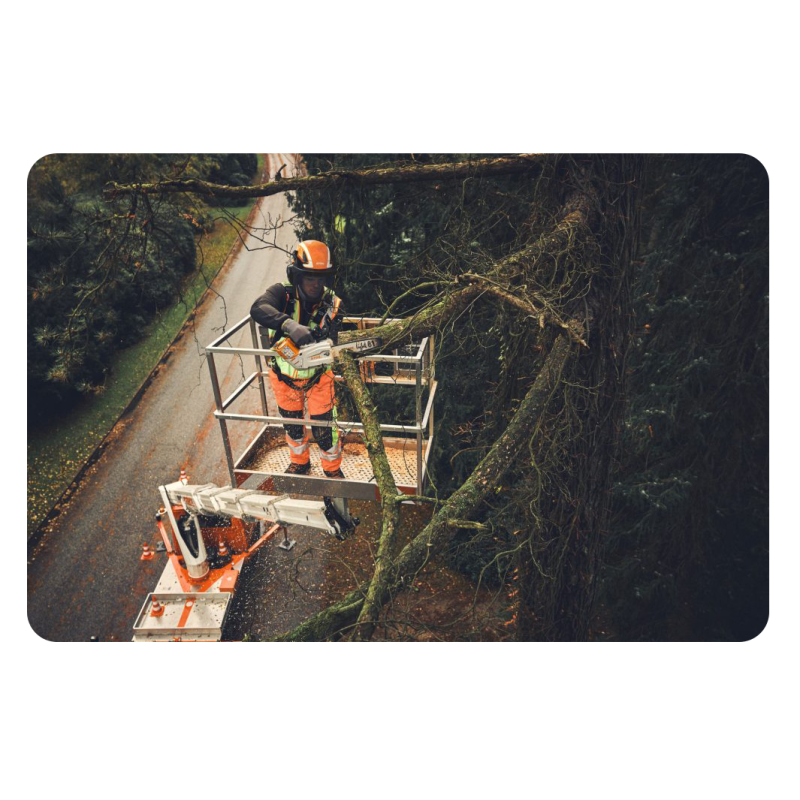 STIHL MSA 190 T (1200W, 36V, prowadnica 35cm) Pilarka akumulatorowa