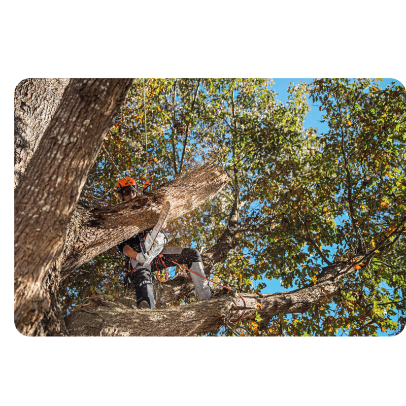 STIHL MSA 300 C-O (36V, 2,9 kW, prowadnica 40 cm) Pilarka akumulatorowa