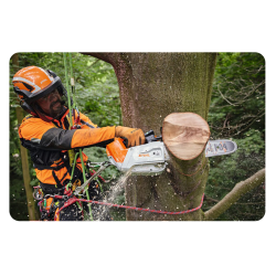 STIHL MSA 220 TC-O