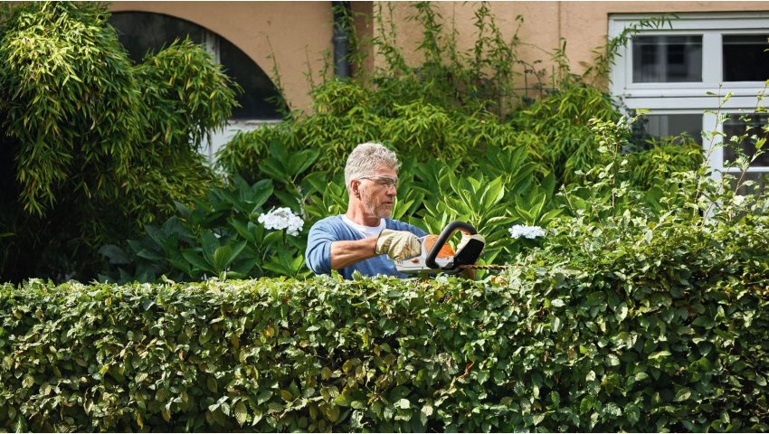 Jak przycinać żywopłot na wiosnę? Czym najlepiej ciąć