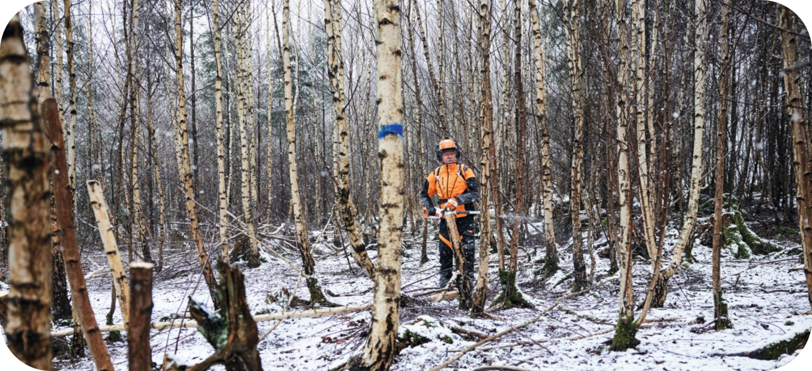 Stihl HTA 150