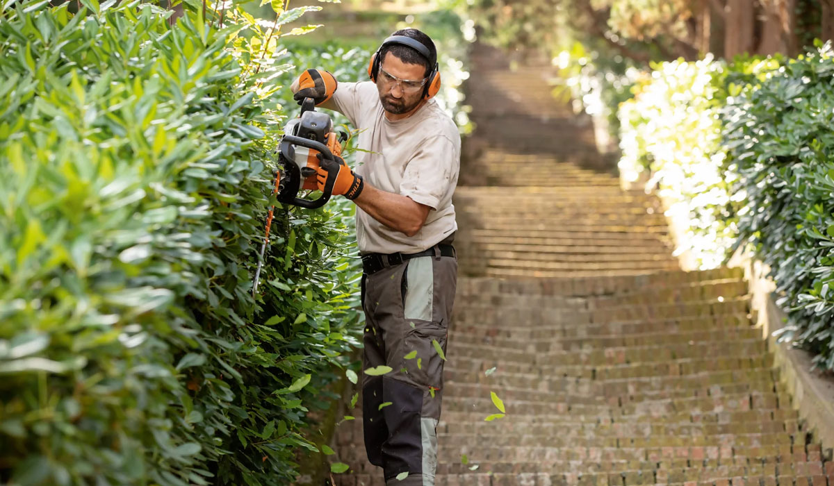 nożeyce do żywopłotu