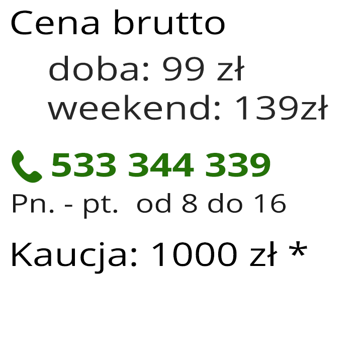 Agregat prądotwórczy Fogo 2,9 kW - cena Agregat prądotwórczy Fogo 2,9 kW - cena