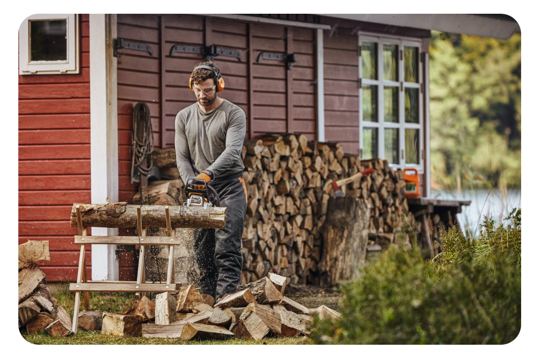 MS 251